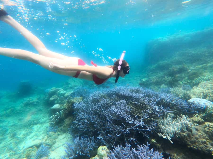 Exclusive Lombok Fishing & Snorkeling Tour Across 4 Gilis - Gili Rengit after lunch: fishing opportunities or a calmer swim