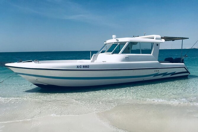 Explore Fishing - 4 hours trip - Weather, seasickness, and what to expect if plans change