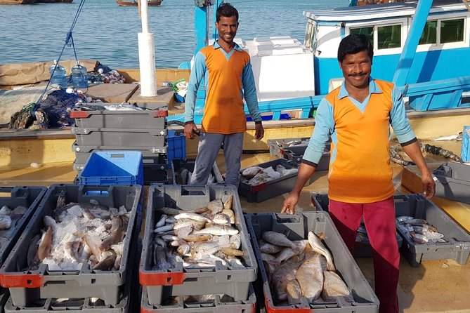 Explore North of Qatar: Visit Zubarah Fort and Fishing Town of Al Khor - Group size and comfort: who this private tour fits best