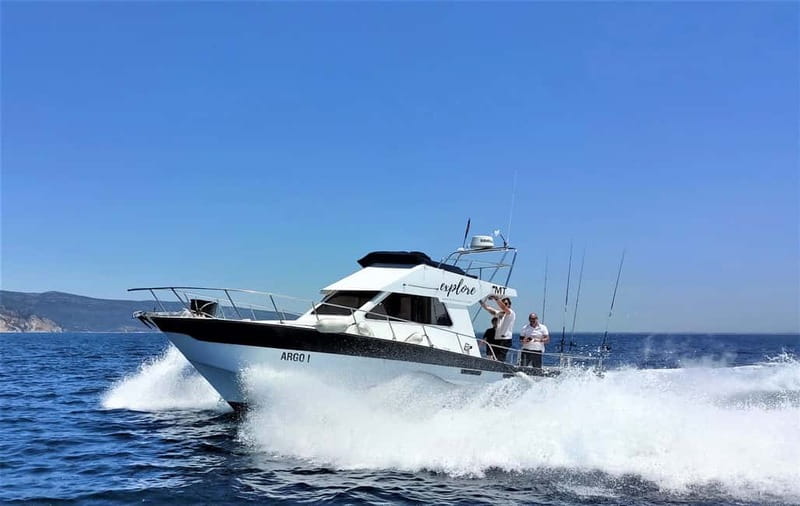 Explore Sesimbra: Private Sport Fishing All Inclusive Tour - Catch-and-grill: what happens to your fish after you land it