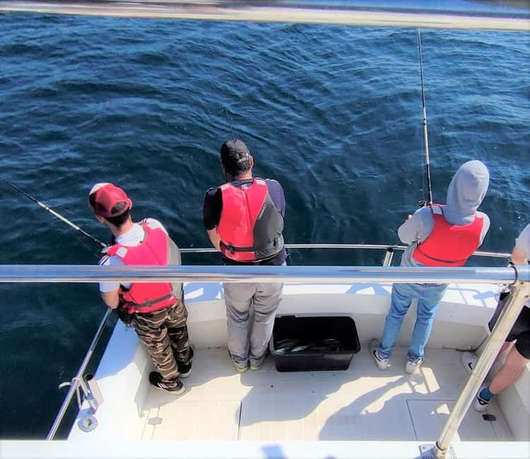 Explore Sesimbra: Private Sport Fishing All Inclusive Tour - Marine-life viewing, dolphins, and the value of being out there