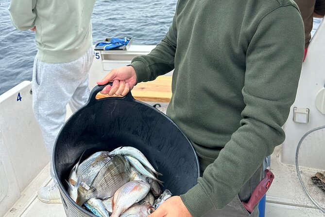 Explore Sesimbra Sports Fishing - Quick key points before you go