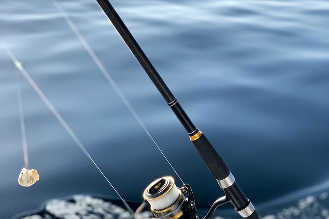 Explore Sesimbra Sports Fishing - Sesimbra sports fishing: why this coast makes sense
