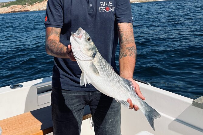 Explore Sesimbra Sports Fishing - What you’re actually fishing for (and when it changes)