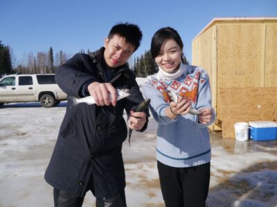Fairbanks: Aurora Ice Fishing Tour - The 6-hour evening flow: hotel pickup, lake time, and aurora watching