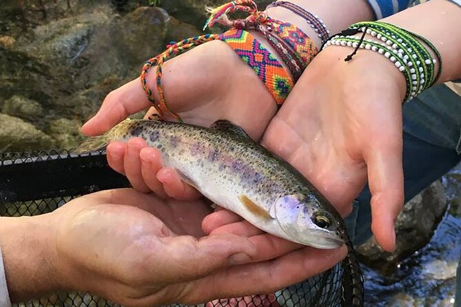 Family Fun Private Half Day Fly Fishing Adventure - Quick Take: What You’ll Like Most (and One Trade-Off)