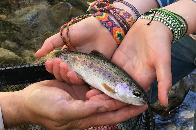 Family Fun Private Half Day Fly Fishing Adventure - Pickup and Drop-Off: The Yosemite Valley Headache Solved
