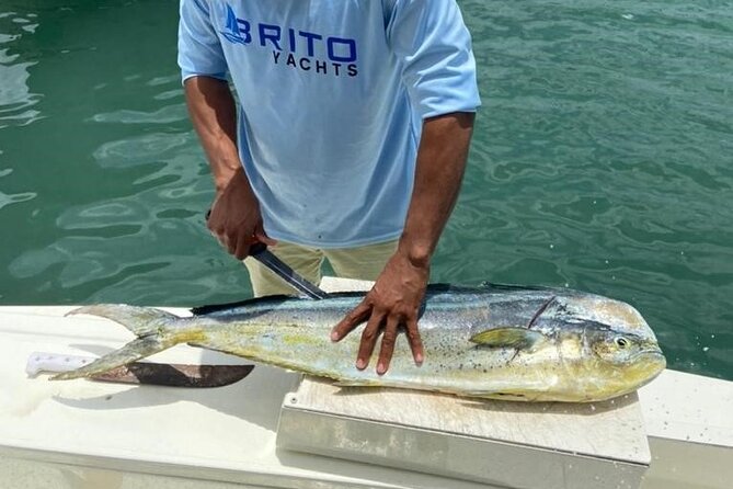 Fishing And Eating Straight From The Sea ( SAONA ISLAND AND PALMILLA) - Set sail from Casa de Campo Marina (and why that matters)