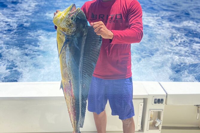 Fishing And Eating Straight From The Sea ( SAONA ISLAND AND PALMILLA) - Riding to Palmilla: turquoise water and sea-star photo time
