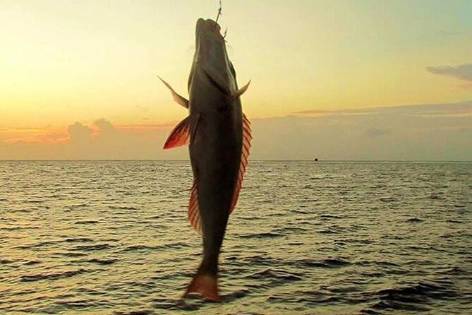 Fishing and Snorkelling by Speedboat Tour - Hurghada - Fishing Stops: Gear Provided and More Than One Spot