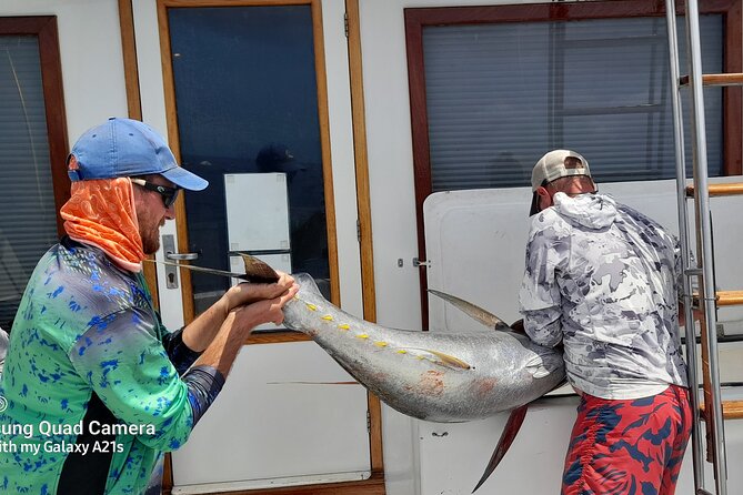 Fishing Charter 6 Hours - The 6-hour flow: what happens from first line to fillets