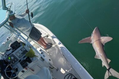 Fishing Charters - Fort Myers Beach / Naples - Choosing back bays: snook, redfish, trout, and the in-between surprises
