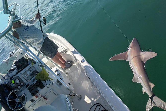 Fishing Charters - Fort Myers Beach / Naples - Choosing back bays: snook, redfish, trout, and the in-between surprises