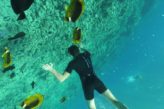 Fishing Private Speed Boat Sea Trip with Transfer - Hurghada - Glass-bottom boat time and the onboard lunch rhythm