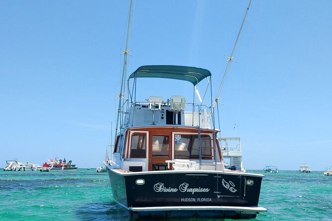 FISHING PRO CHARTERS - Boat Excursion - Divina - How the 4–5 hour charter plays out on the water