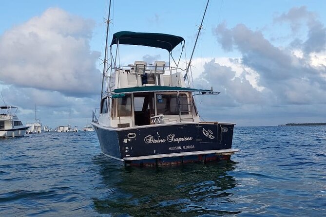 FISHING PRO CHARTERS - Boat Excursion - Divina - The fishing action: what trolling is really doing
