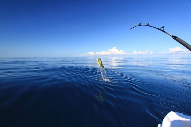 Fishing & Snorkeling By Speed Boat Tour (Semi Private) - Hurghada - How the 12:00 start works in real life (about 4 hours)