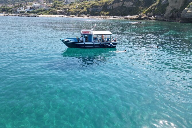Fishing, Snorkelling & Dolphin Boat Tour - Key highlights you’ll feel right away