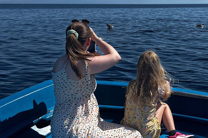 Fishing, Snorkelling & Dolphin Boat Tour - The price ($78.44) and why it can be good value
