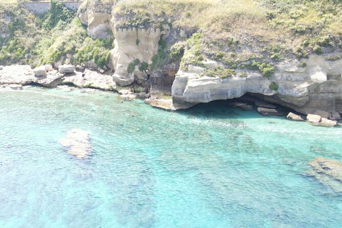Fishing, Snorkelling & Dolphin Boat Tour - Getting onto the water: the Vibo Marina start that keeps things simple