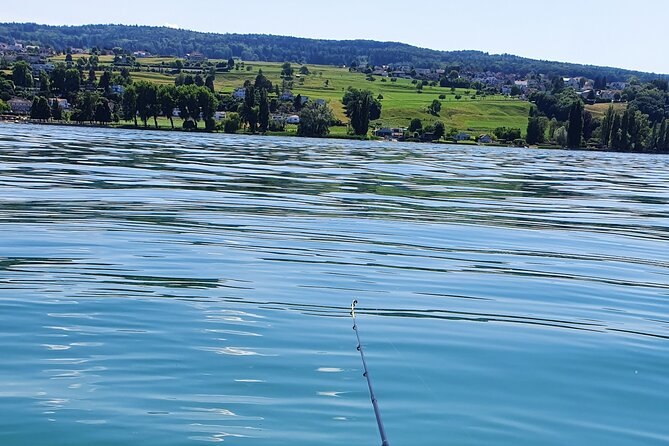 Fishing Tour with a Fishing Boat at Lake Constance (Untersee) - Meeting at Westerfeldstrasse 26 and getting to the water