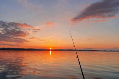 Fishing Tour with a Fishing Boat at Lake Constance (Untersee) - The 3-hour boat ride: short transfer, fast start
