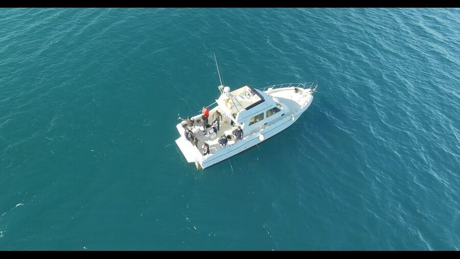 Fishing Trip all included - Key things to know before you go