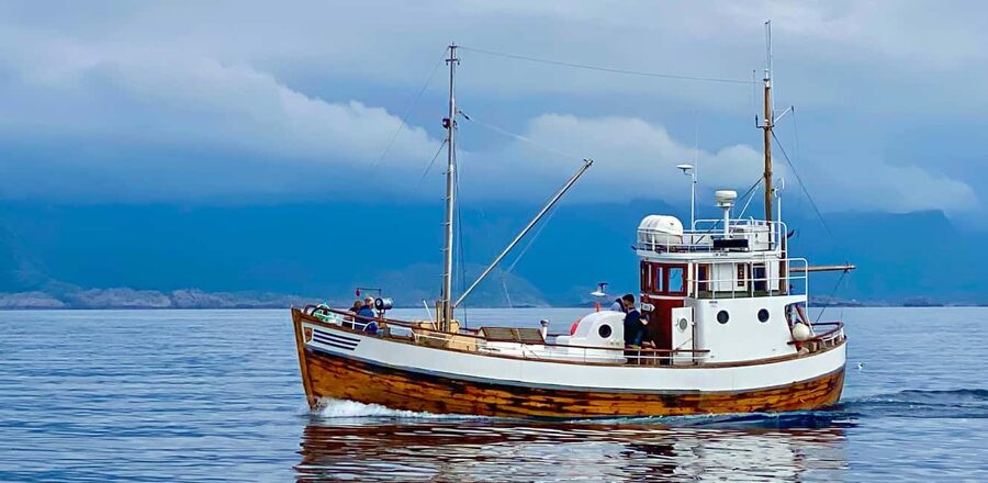 Fishing trip from Henningsvær + free (self caught) fish soup - Key Highlights You’ll Feel Right Away