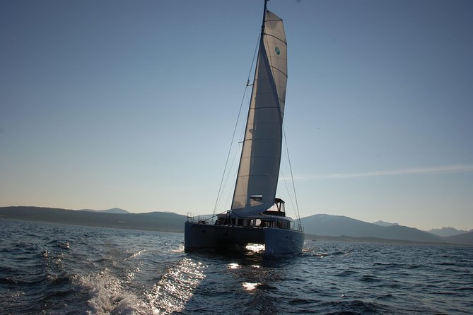 Fishing Trip with Luxury Catamaran in Tromso - Getting your own cod—and how lunch really happens