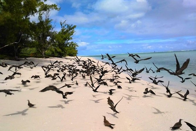 Fishing Trips. Popping, jigging, big game, live bait - Rodrigues Island fishing: the “choose your bite” format