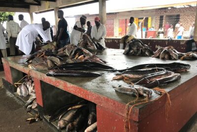 Fishing Village Food Tour & Luwombo Stop - Luwombo lunch: the included meal that anchors the day
