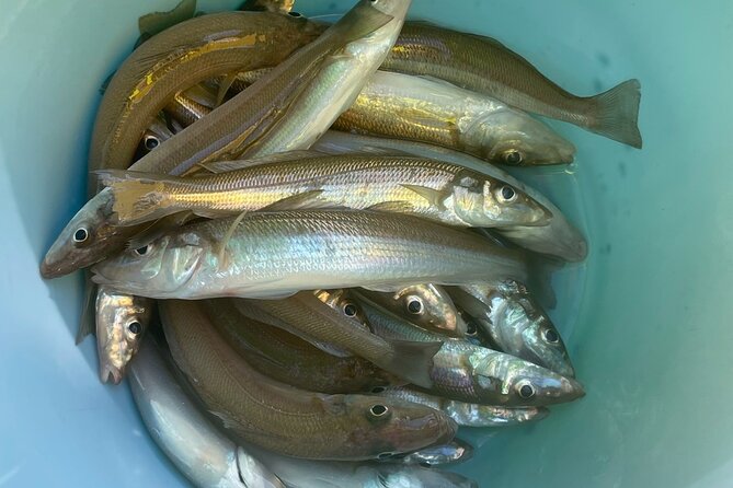 Fishing with Mt. Fuji Views and Japanese Home Cooking Experience - The Mt. Fuji Factor and When the View Shows Up