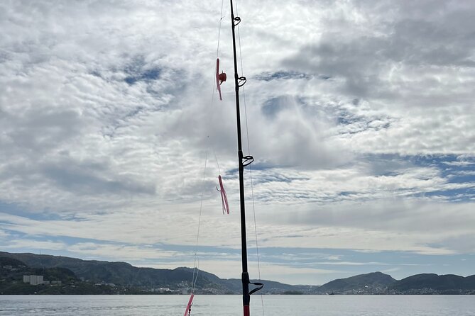Fjord Sea Safari with Fishing from Bergen - How the fishing part works (and how you’ll actually get help)