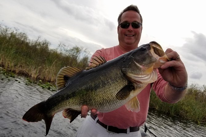 Florida Everglades Fishing Charter Near Fort Lauderdale - Launching into the Everglades: wildlife first, then bass fishing