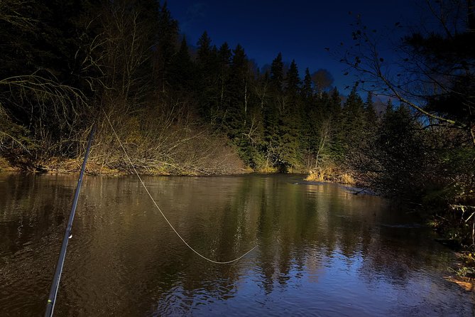 Fly Fishing Guided Experiences - Key Highlights Worth Planning For