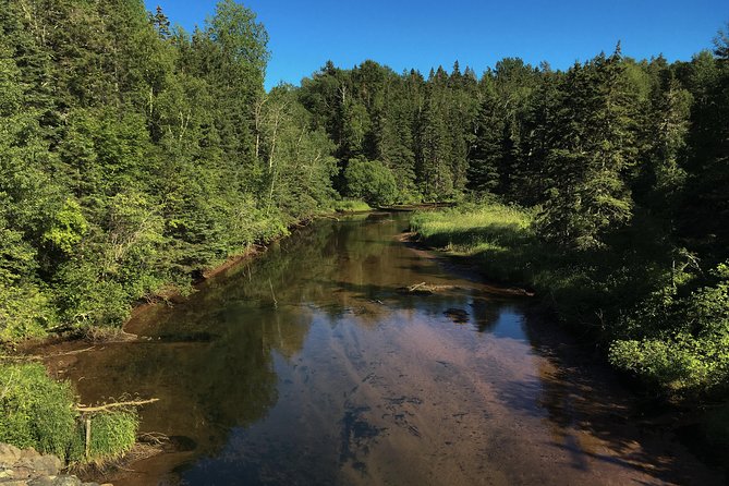 Fly Fishing Guided Experiences - Meeting at 11 Riverside Dr, Morell: Where the Trip Really Starts