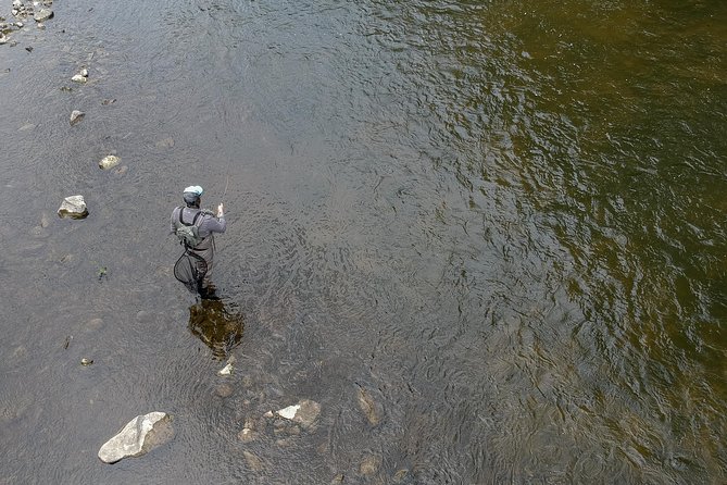 Fly Fishing Guided Experiences - Hike to the Fishing Spot: Short, Guided, and Built Around Mobility