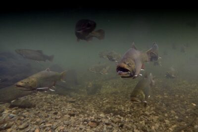 Fly Fishing Guided Experiences - The Drive to the Access Point and the Casting Lesson That Saves You Time