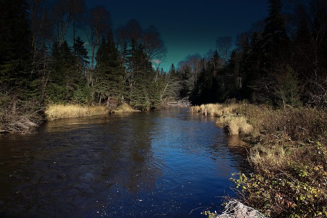 Fly Fishing Guided Experiences - Fishing Guidance That Turns Casting Into Results (Including Techniques Beyond the Basics)