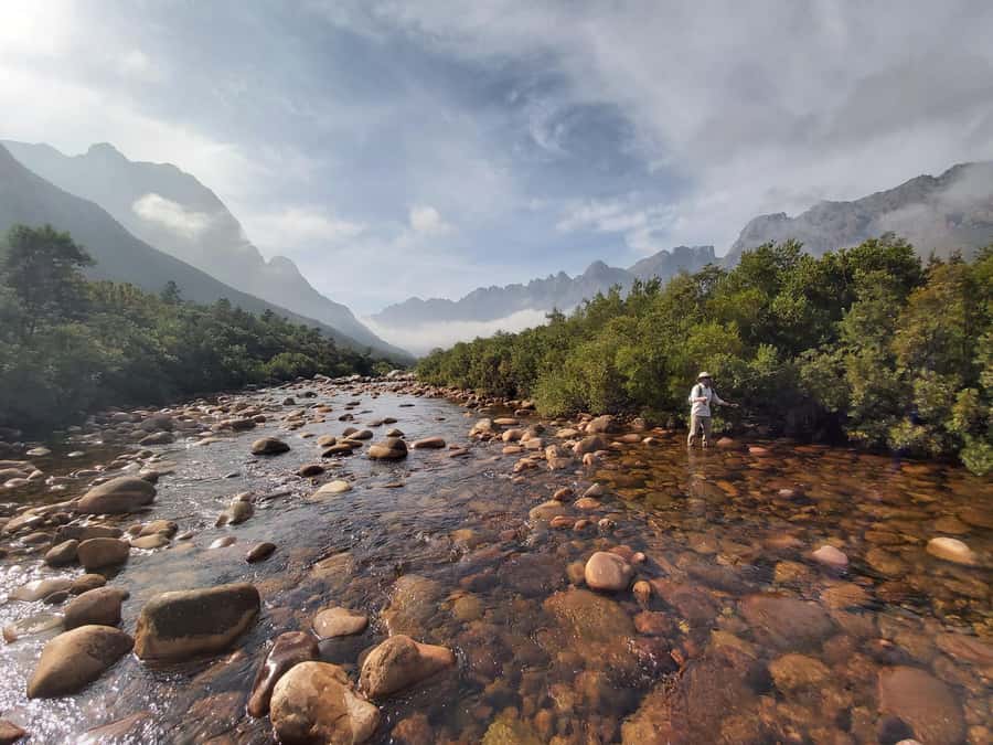 Fly Fishing in Cape Town - Cape Town’s fly fishing: trout, clarity, and that mountain backdrop