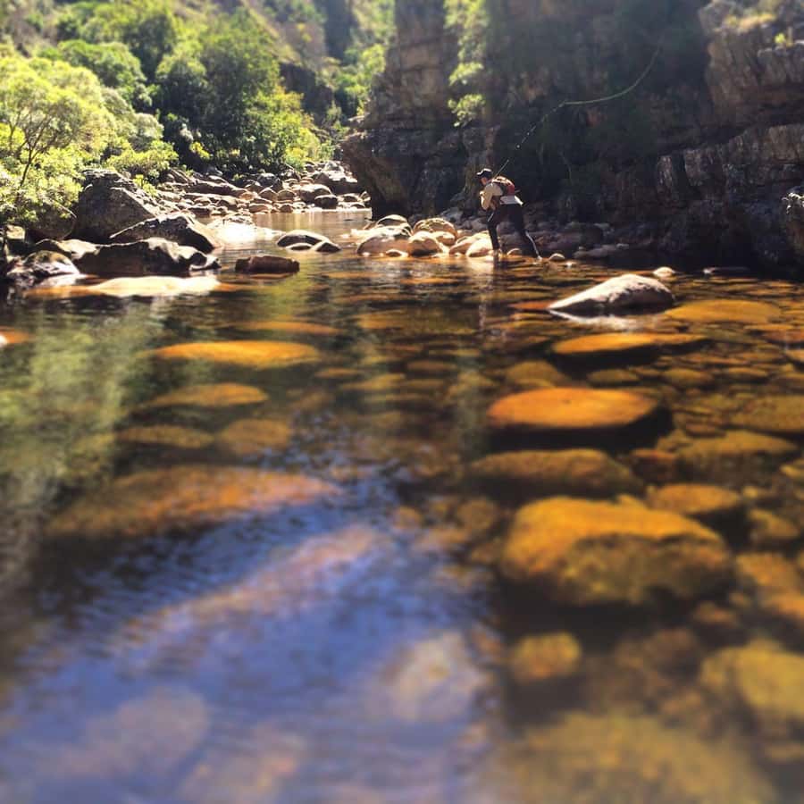 Fly Fishing in Cape Town - What “responsible fishing” looks like on the stream