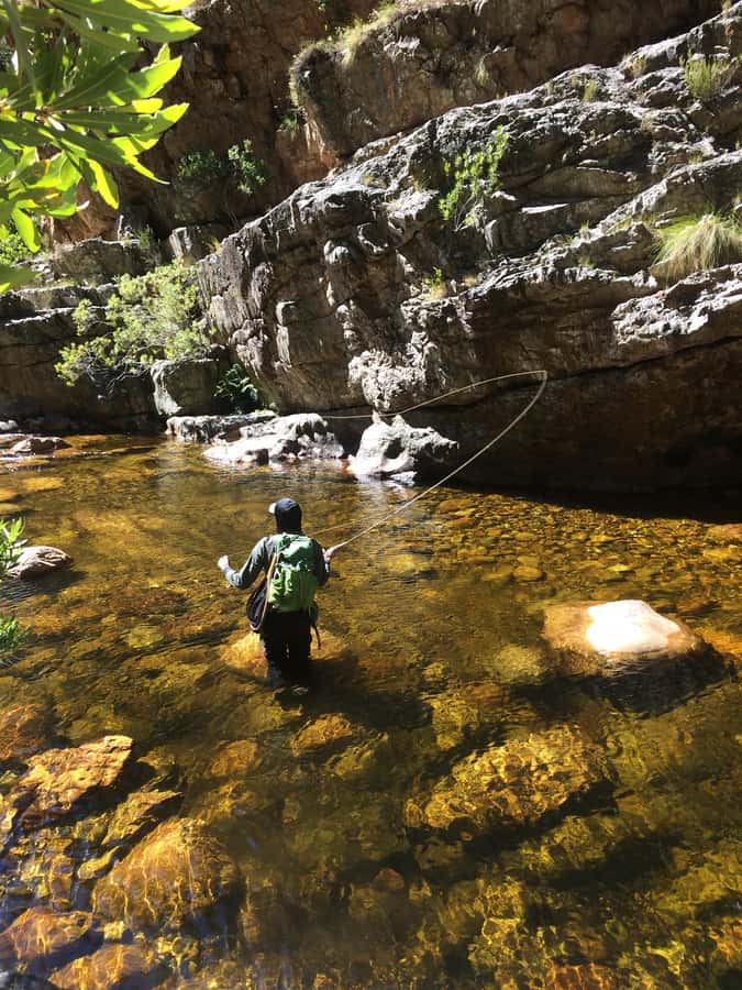 Fly Fishing in Cape Town - Price and value: what $280 includes (and why it’s not just a ticket)