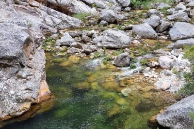 Fly Fishing in Cape Town for Five Hours - Freshwater Cape Streams: wild trout on light tackle dry flies