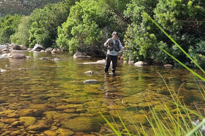 Fly Fishing in Cape Town for Five Hours - Lunch and local snacks: a real break, not just a sandwich