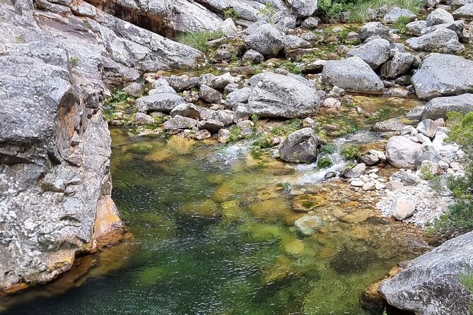 Fly Fishing in Cape Town for Five Hours - Freshwater Cape Streams: wild trout on light tackle dry flies