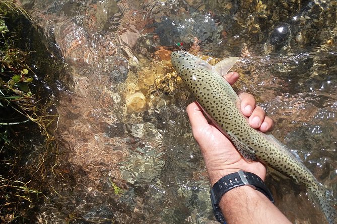Fly Fishing on Private Andean River Including Barbecue Lunch - La Carrera at 2000m: The Moment You Feel the Altitude