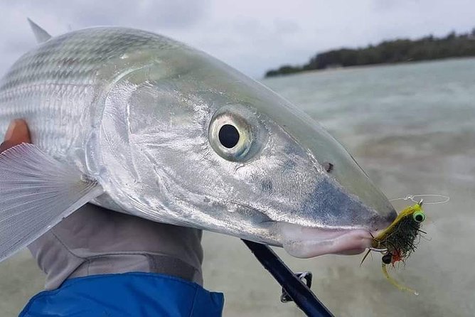 Fly Fishing Tour - Meeting at Buccoo Integrated Facility and getting on the water fast
