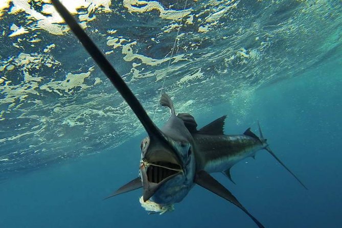 Four-Hour Fishing Tour in Dominica - Quick hits before you go