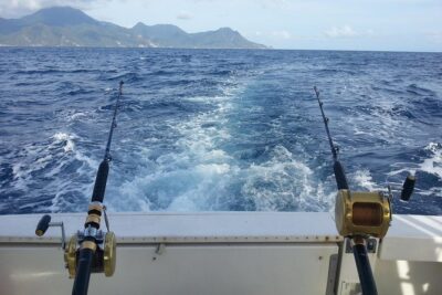 Four-Hour Fishing Tour in Dominica - Roseau Museum meetup: quick start with Wi-Fi