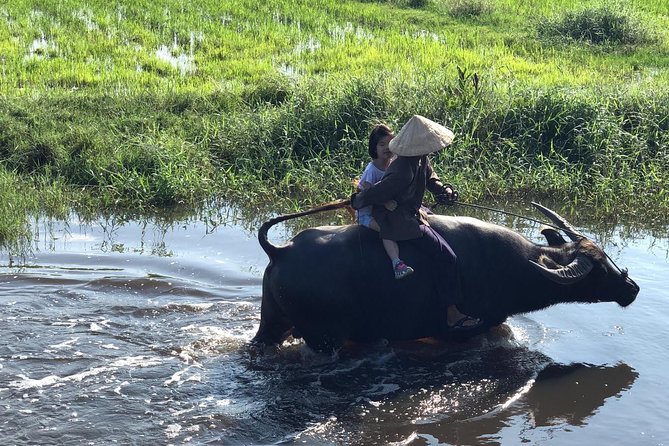 From AUTHENTIC FARMER'S LIFE to ECO RIVER FISHING EXPERIENCE - A Hoi An countryside day that feels hands-on, not staged